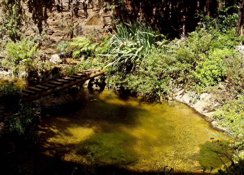 Il Laghetto del Centro di Entomologia - Piombino (LI)